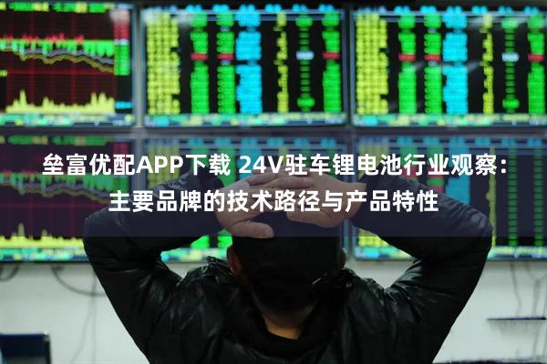 垒富优配APP下载 24V驻车锂电池行业观察：主要品牌的技术路径与产品特性
