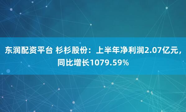 东润配资平台 杉杉股份：上半年净利润2.07亿元，同比增长1079.59%